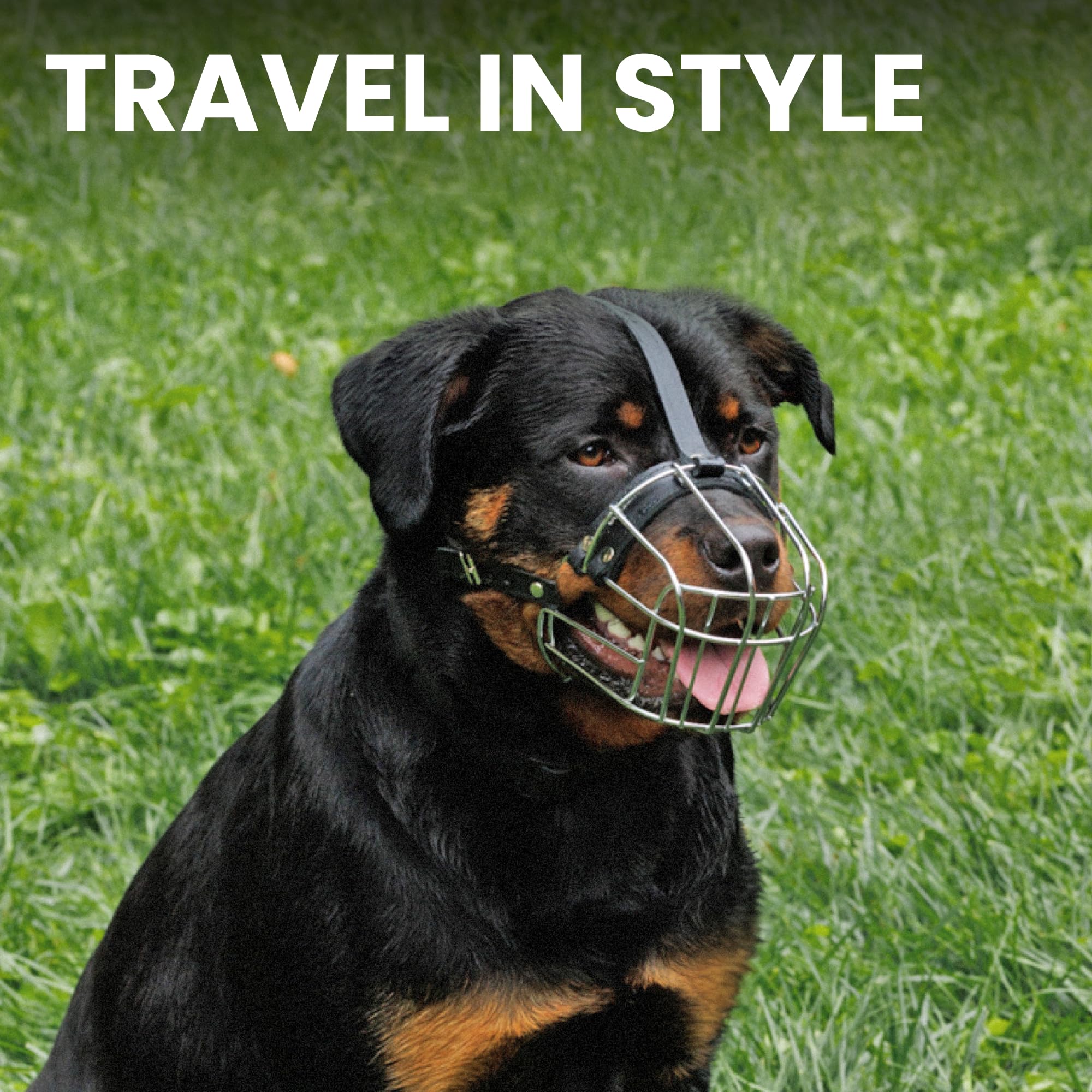 BRONZEDOG ergonomic basket design for safer handling