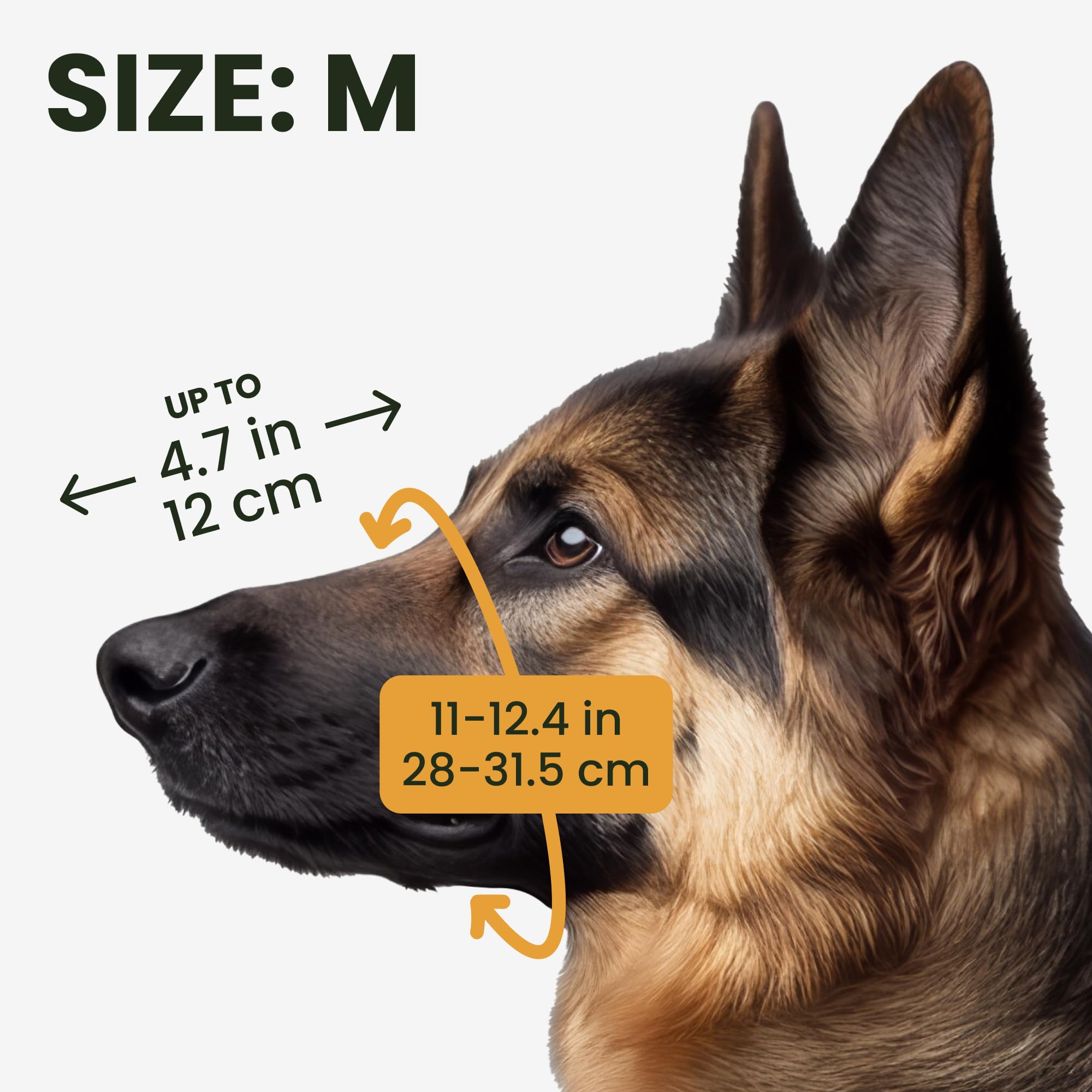 BRONZEDOG wire muzzle adjustable straps provide a snug, customizable fit for daily use.
