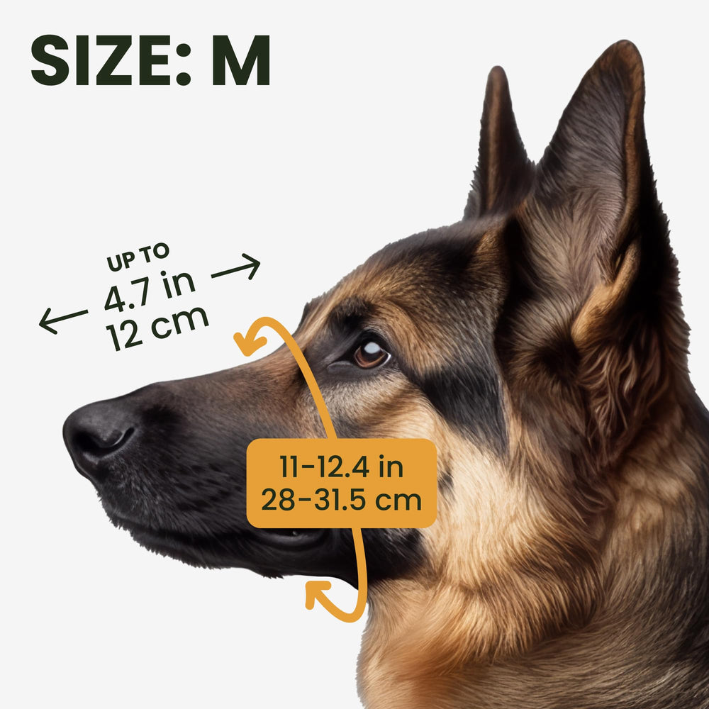 BRONZEDOG wire muzzle adjustable straps provide a snug, customizable fit for daily use.