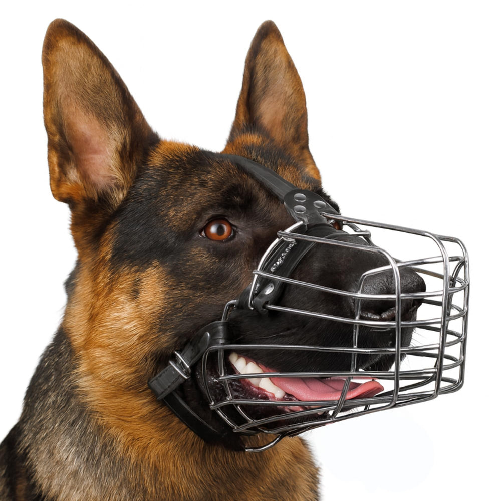 BRONZEDOG wire muzzle nose padding for comfortable, secure fit during training.