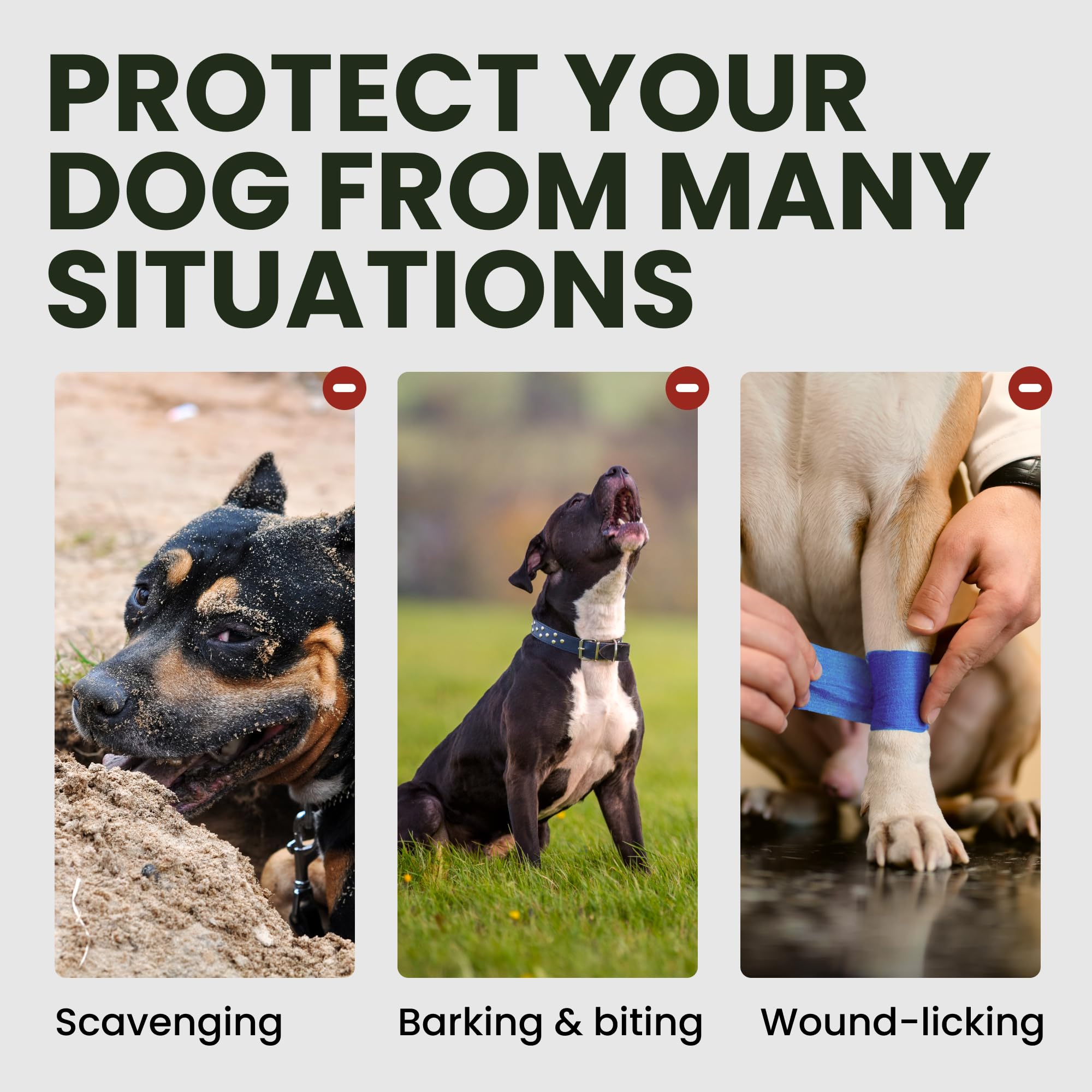 BRONZEDOG wire-muzzle training-steps support gradual muzzle acceptance.