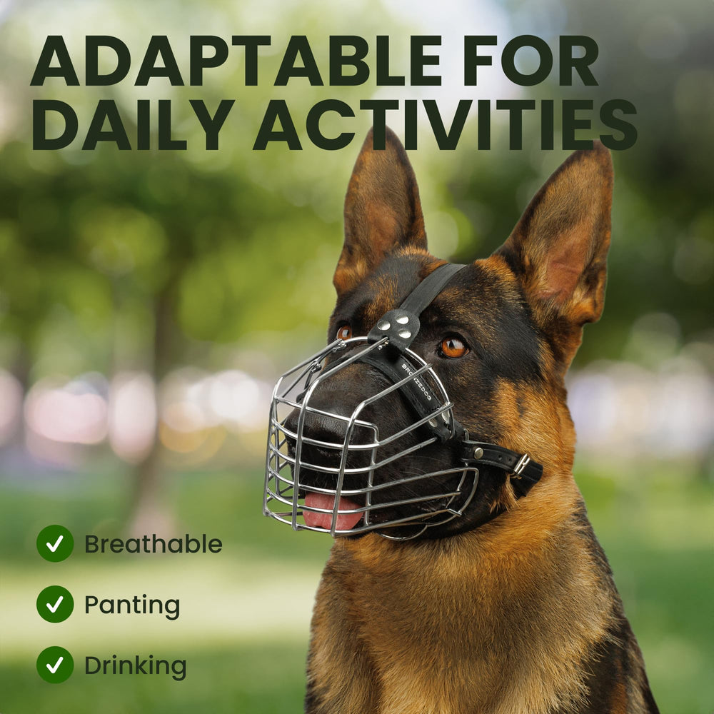 BRONZEDOG wire muzzle vet-visit-ready for safer handling during examinations.