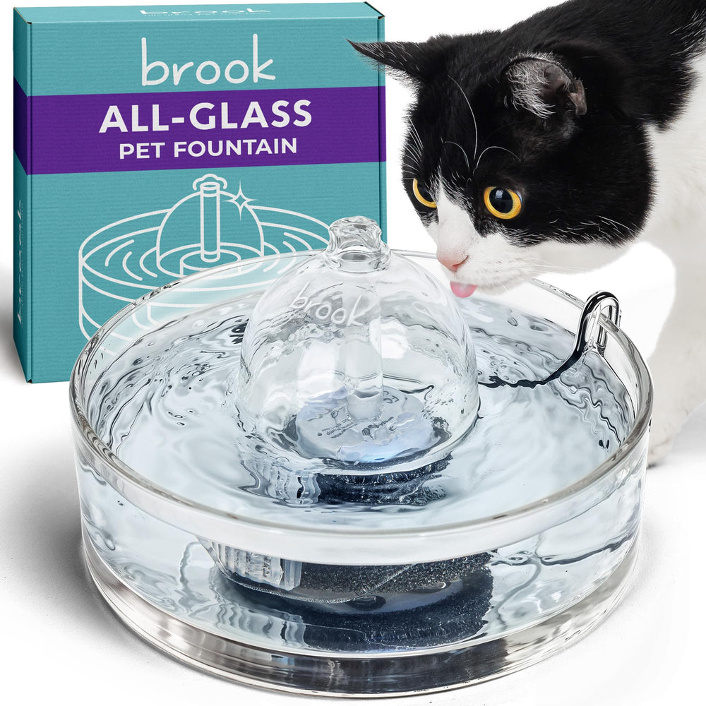 Brook Glass Pet Fountain shows all-glass design for hygienic hydration and easy cleaning