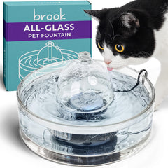 Brook Glass Pet Fountain shows all-glass design for hygienic hydration and easy cleaning