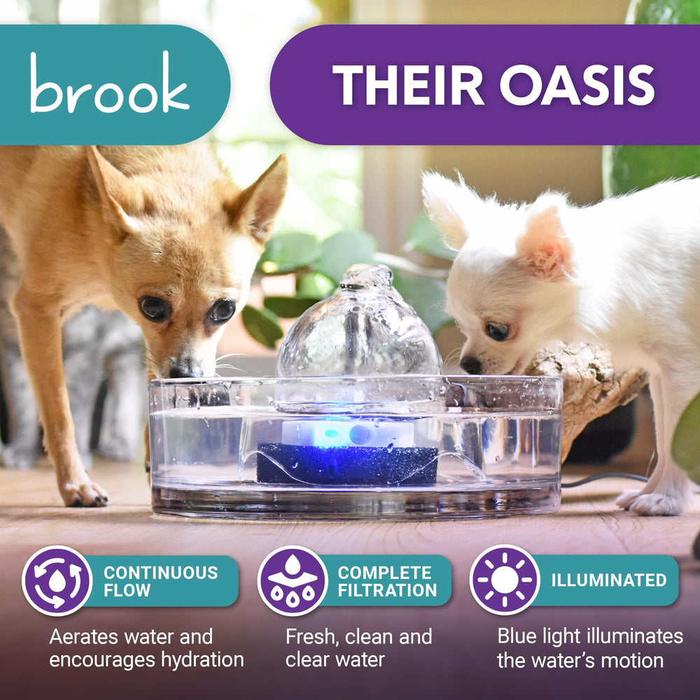Brook Glass Pet Fountain parts separate for dishwasher or hand washing