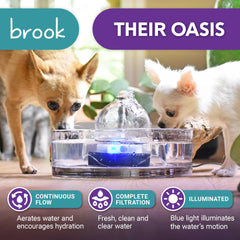 Brook Glass Pet Fountain parts separate for dishwasher or hand washing