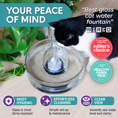 Brook Glass Pet Fountain with particle filter ring and clean water filtration