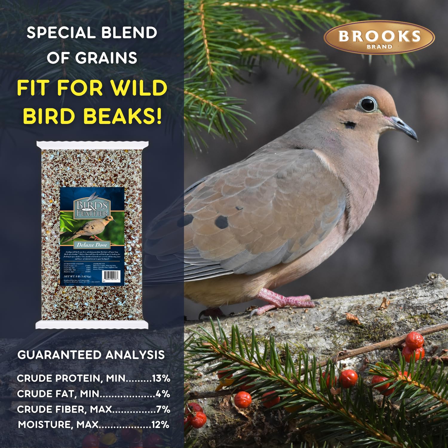 Brooks Brand outdoor seed blend promotes steady backyard visits.