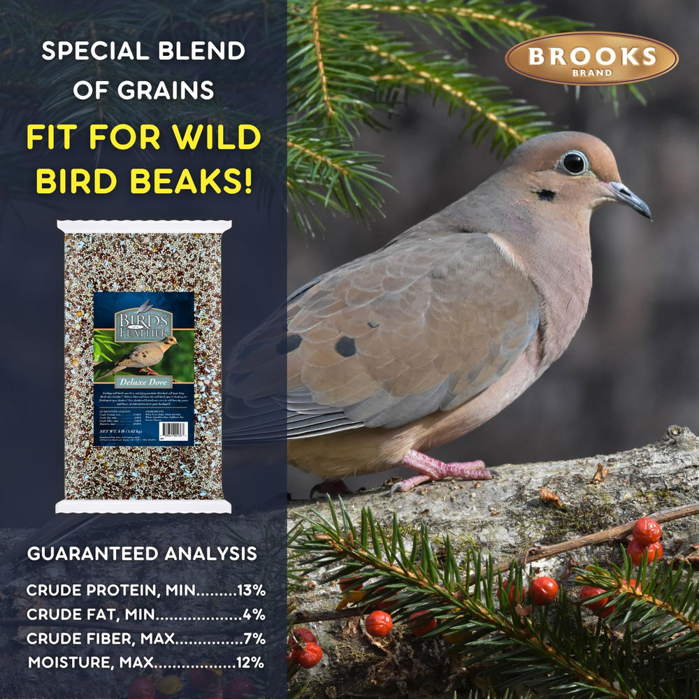 Brooks Brand outdoor seed blend promotes steady backyard visits.