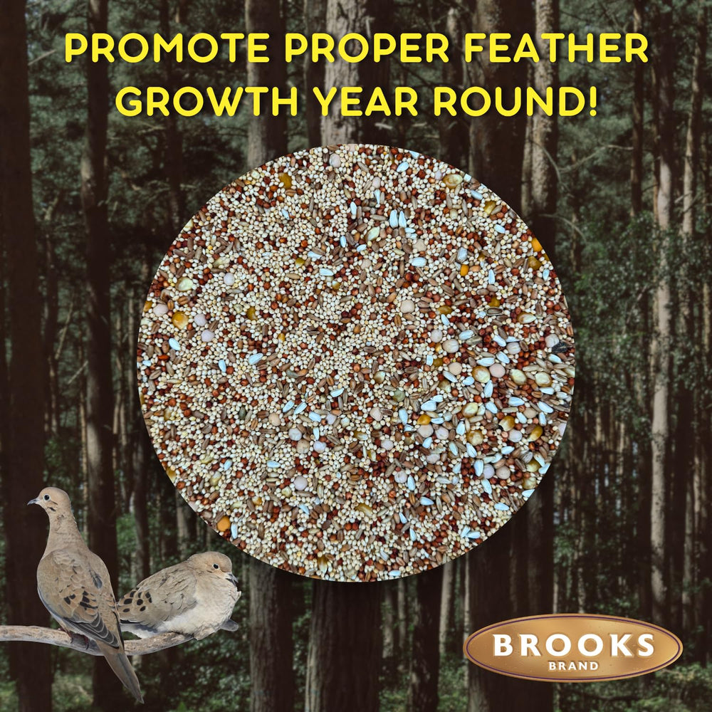 Brooks Brand white proso millet is a dove-friendly seed favorite.