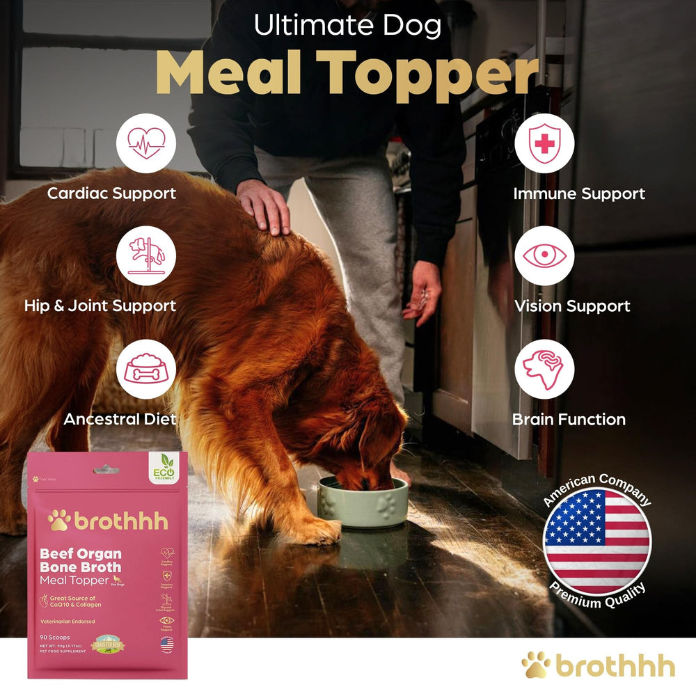 Brothhh Beef Organ Bone Broth Topper nose-to-tail blend for natural nutrition.