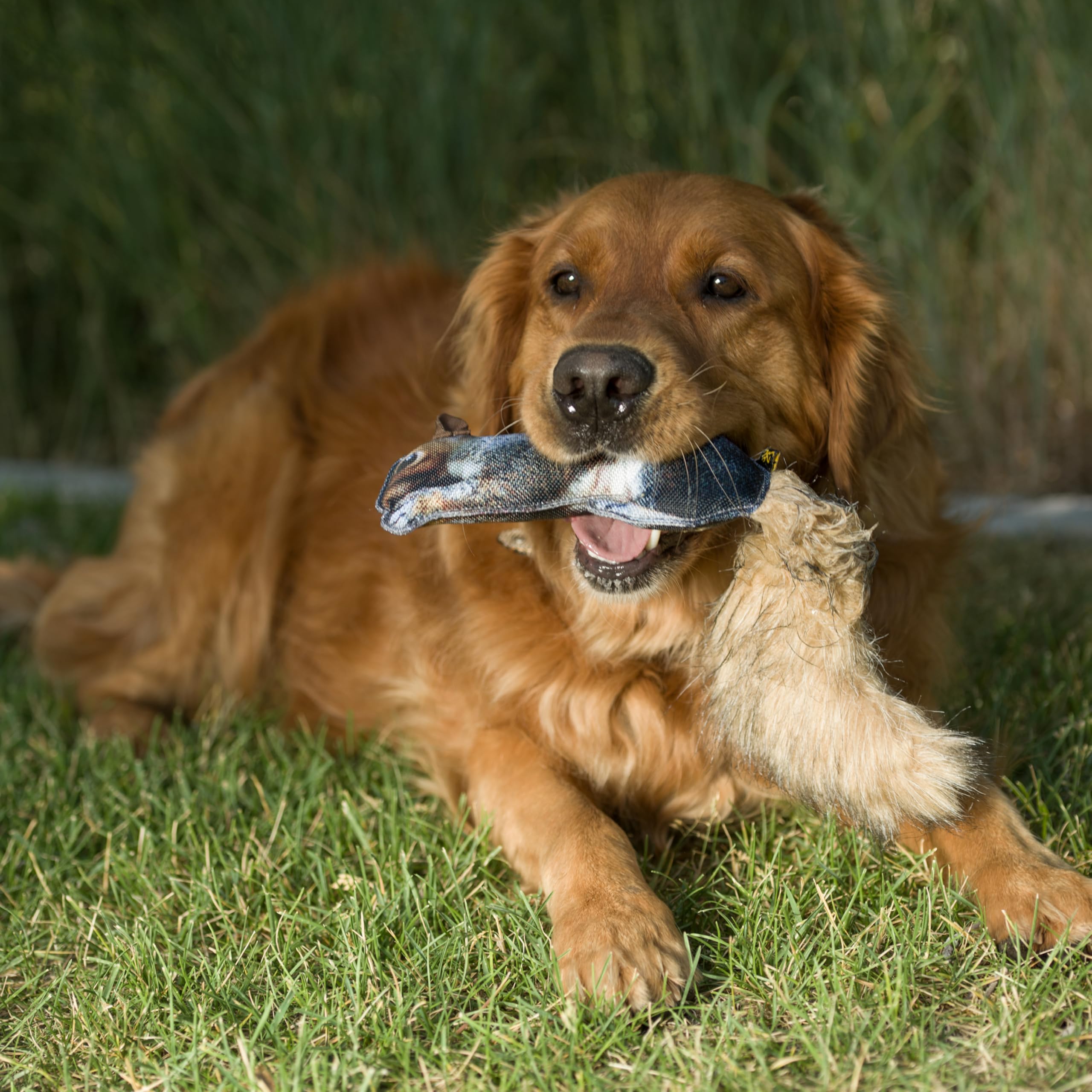 Browning dog toy is washable for easy cleanup after adventures.