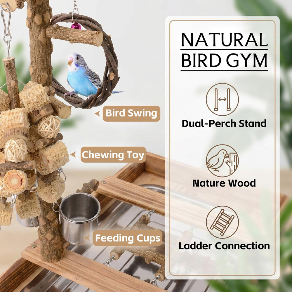 BRSLAIF bird swing toy set adds dynamic movement for active days.