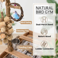 BRSLAIF bird swing toy set adds dynamic movement for active days.