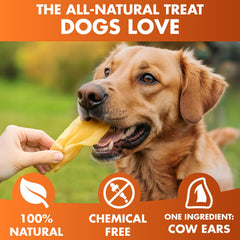 Brutus and Barnaby grass-fed Angus beef, premium flavor for dogs.