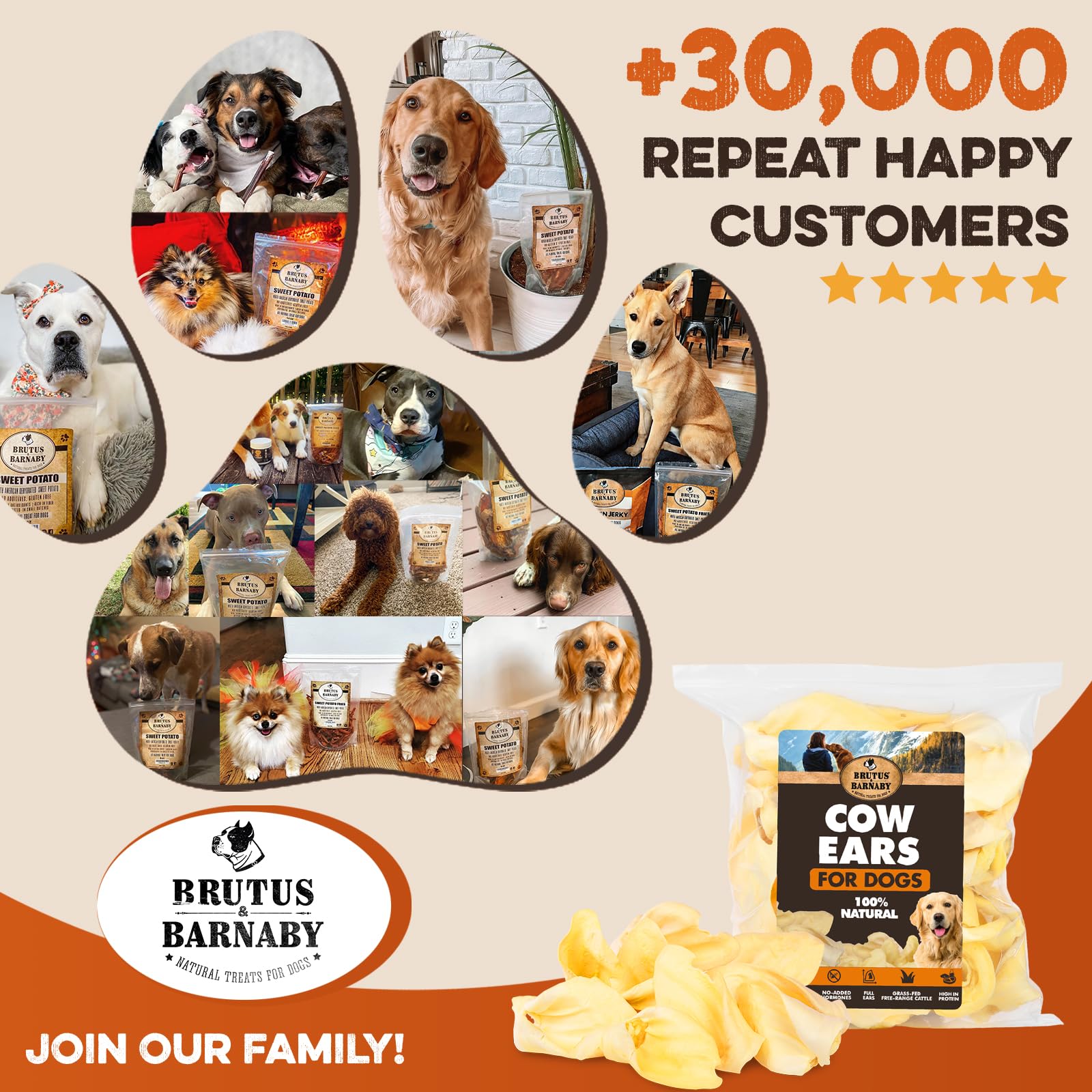 BRUTUS & BARNABY 100-count bag, convenient dog chews for households.