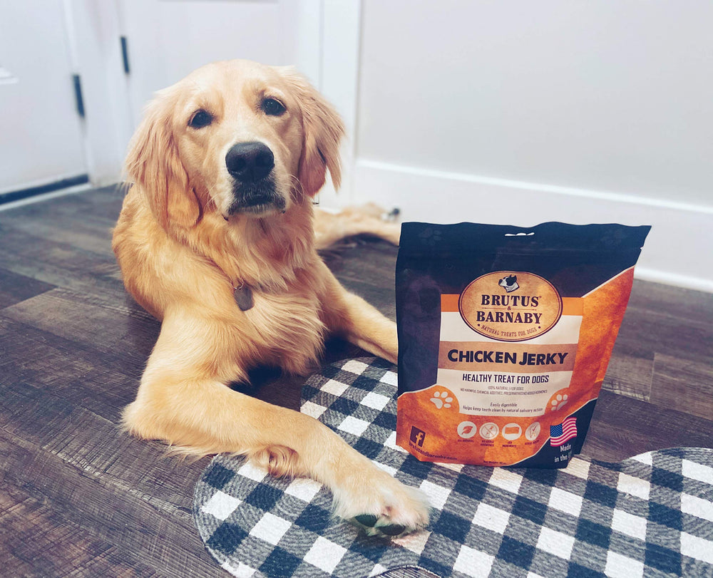 BRUTUS AND BARNABY 32oz bulk bag suitable for frequent rewards