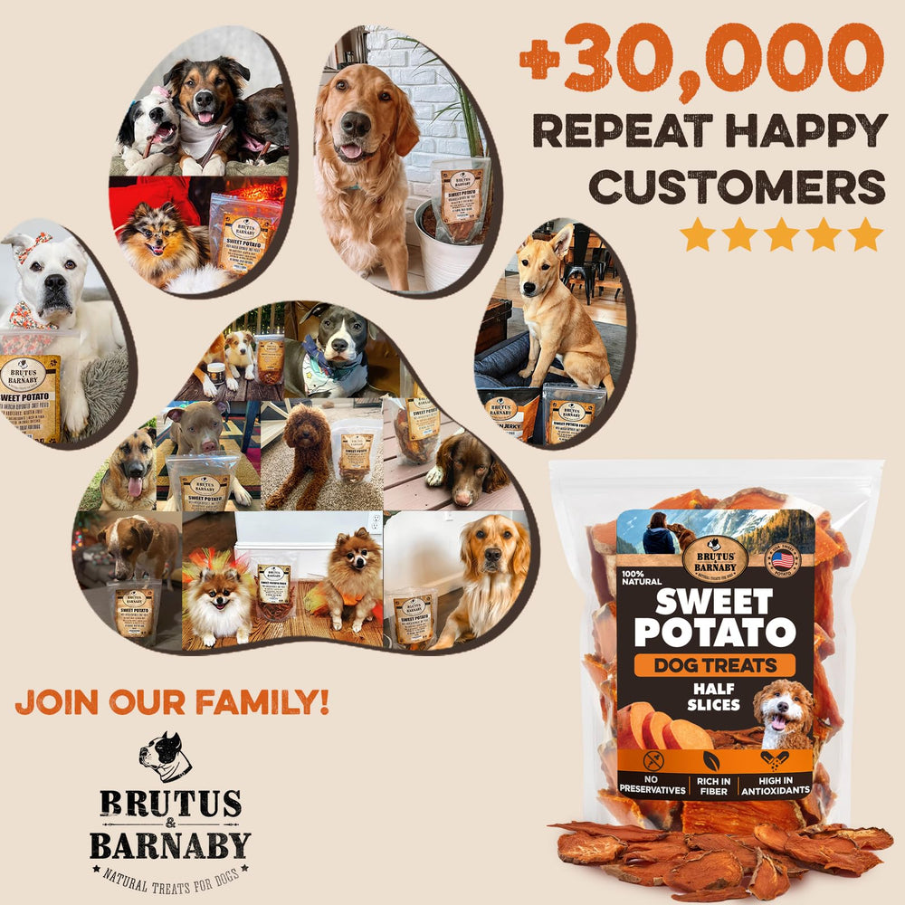 BRUTUS & BARNABY available as a gentle option for sensitive dogs.