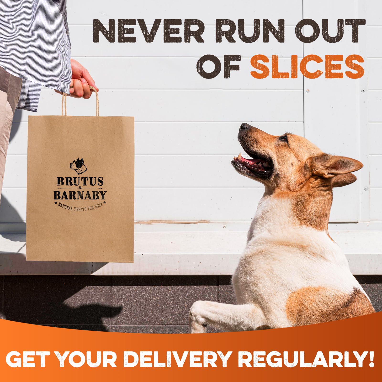 BRUTUS & BARNABY bag and branding on shelf conveys trust and quality.