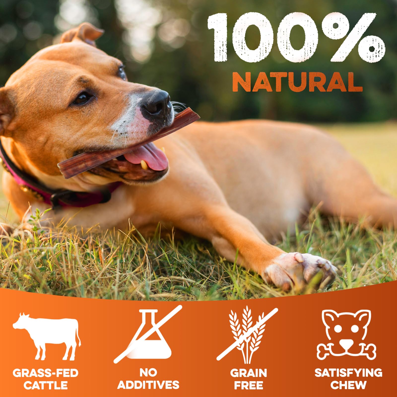 BRUTUS & BARNABY bulk pack of 50 sticks for multi-dog households.