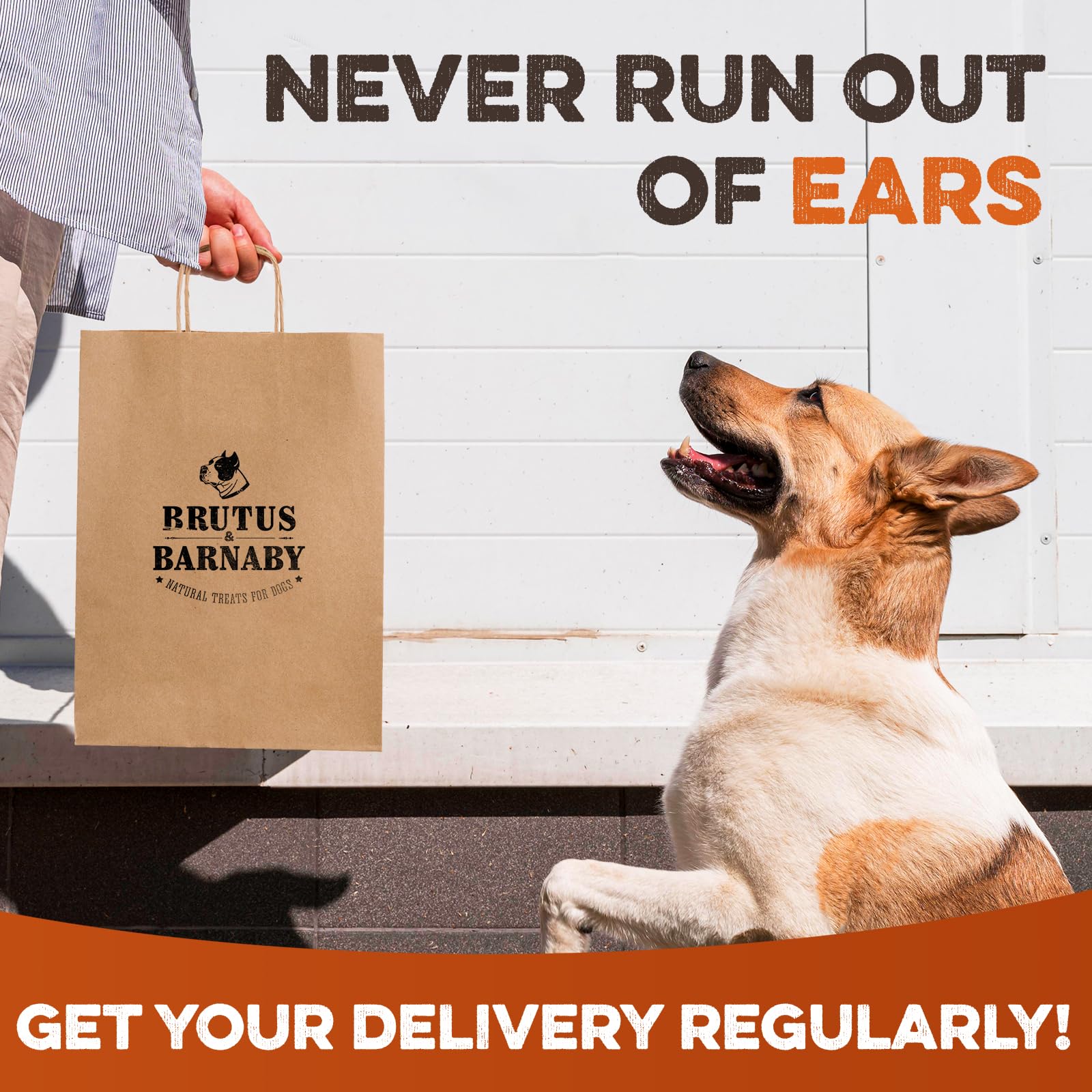 BRUTUS & BARNABY daily treat and training reward.