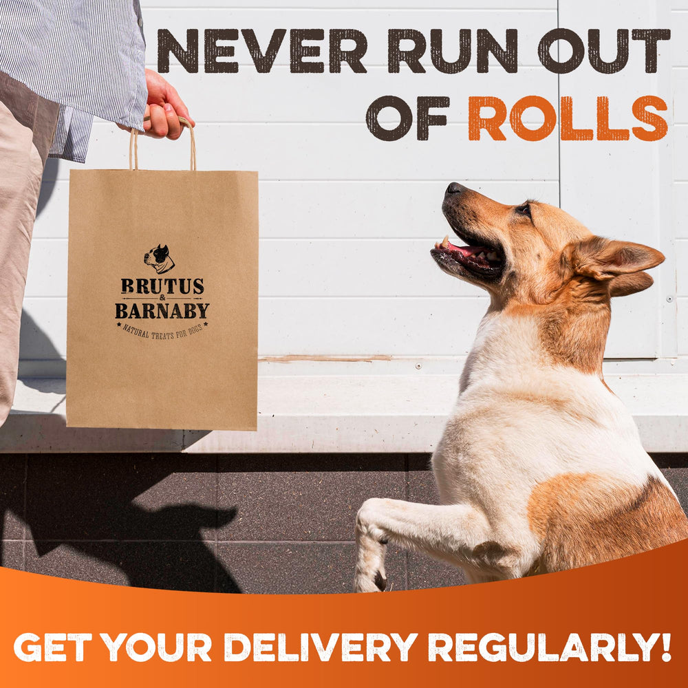 Brutus & Barnaby dental-support chew helps maintain oral health.