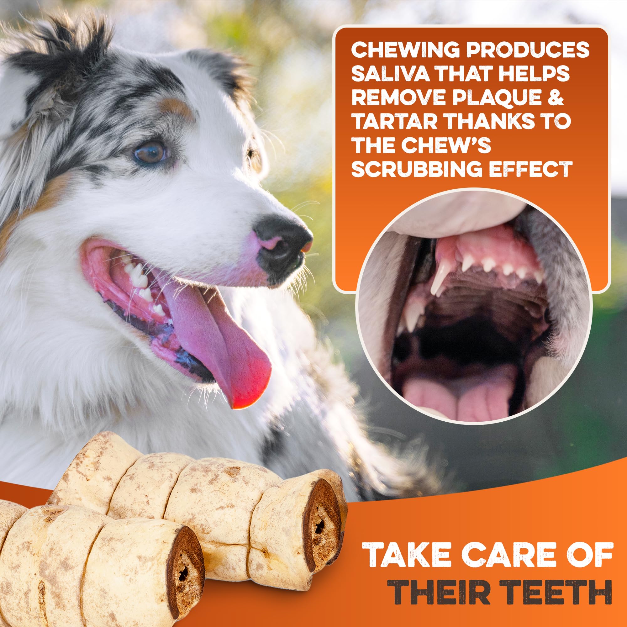 BRUTUS & BARNABY single-ingredient chew, easily digestible.