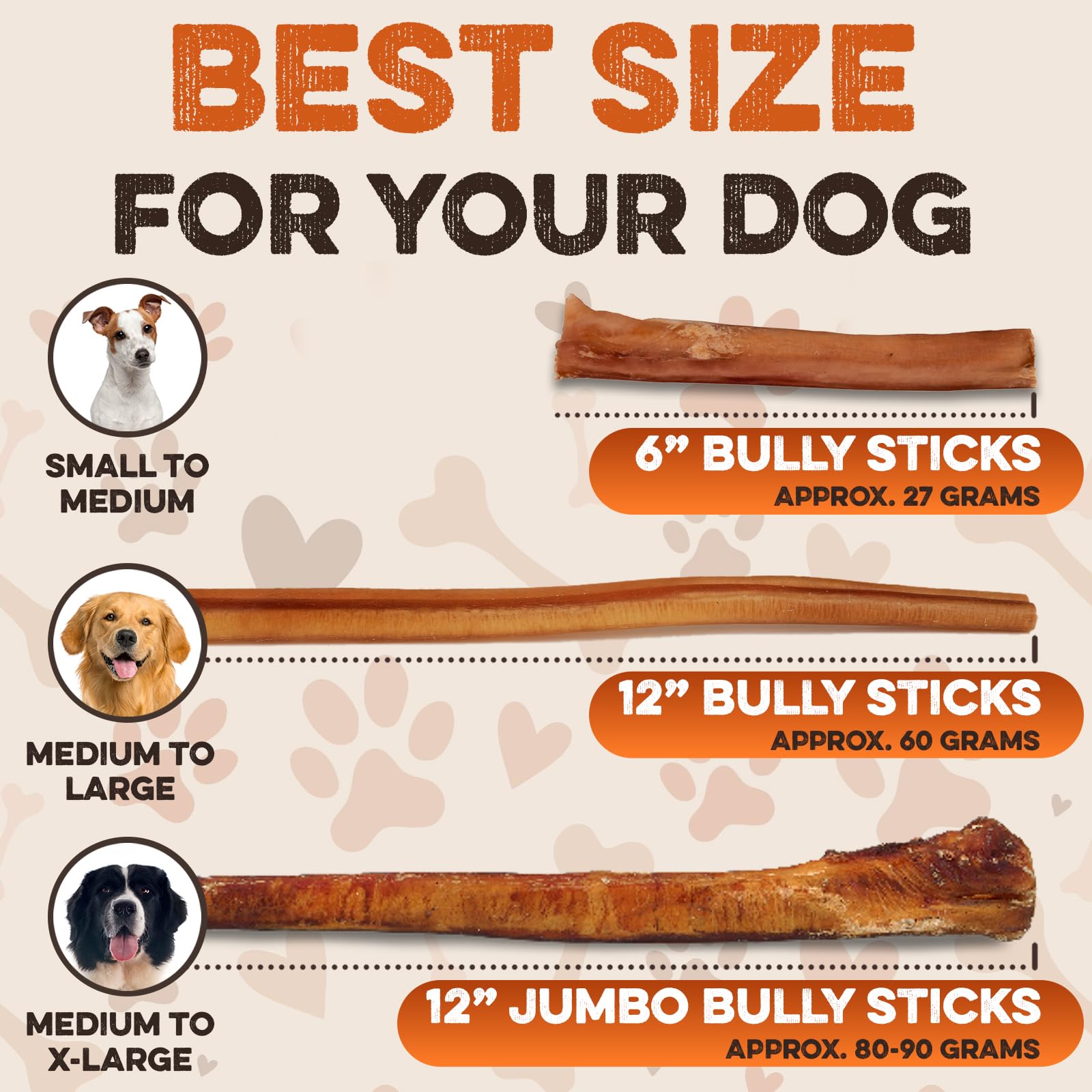 Large dog enjoying a durable BRUTUS & BARNABY bully stick