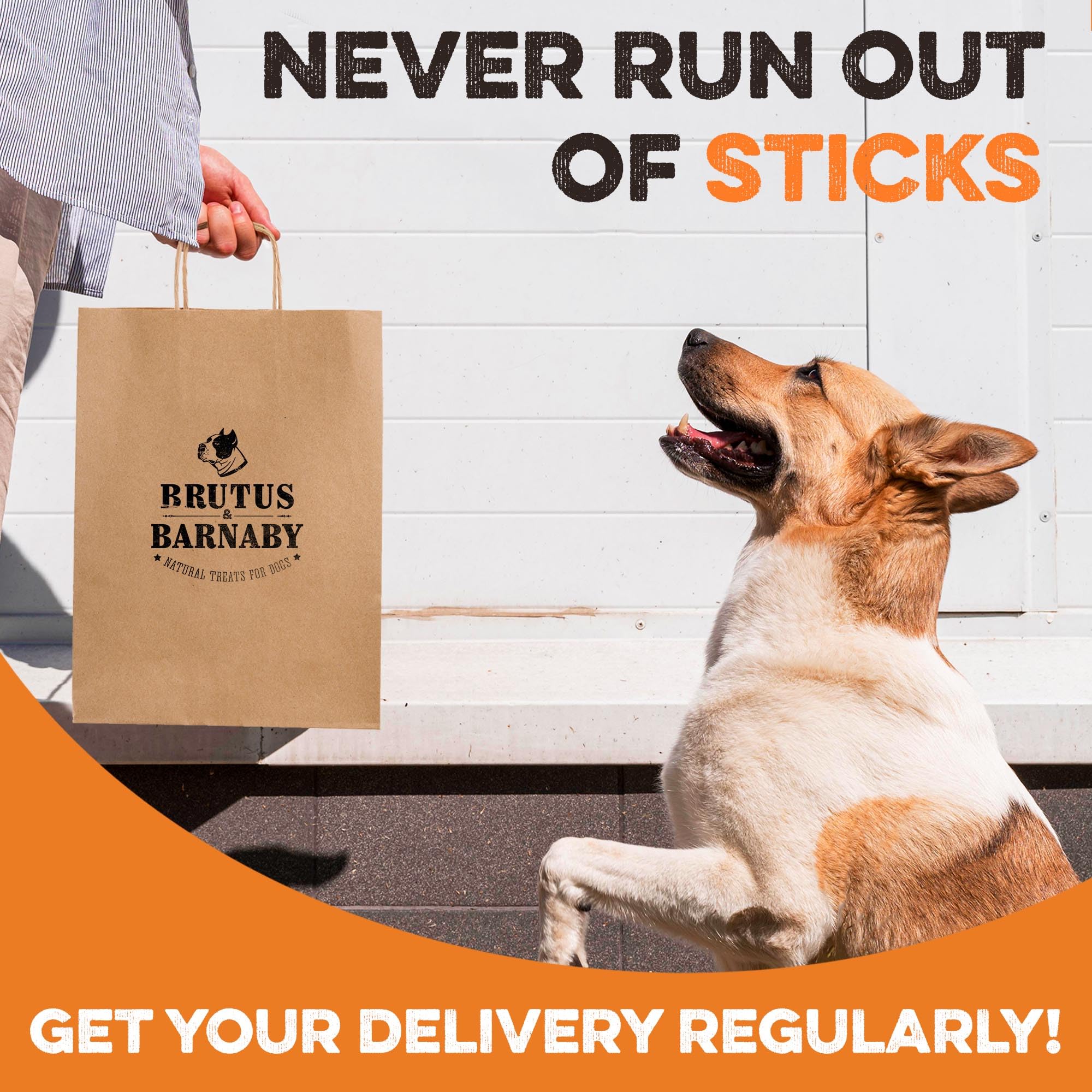 BRUTUS & BARNABY family-owned brand image.