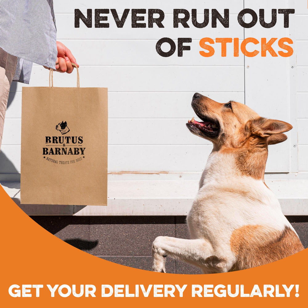 BRUTUS & BARNABY family-owned brand image.
