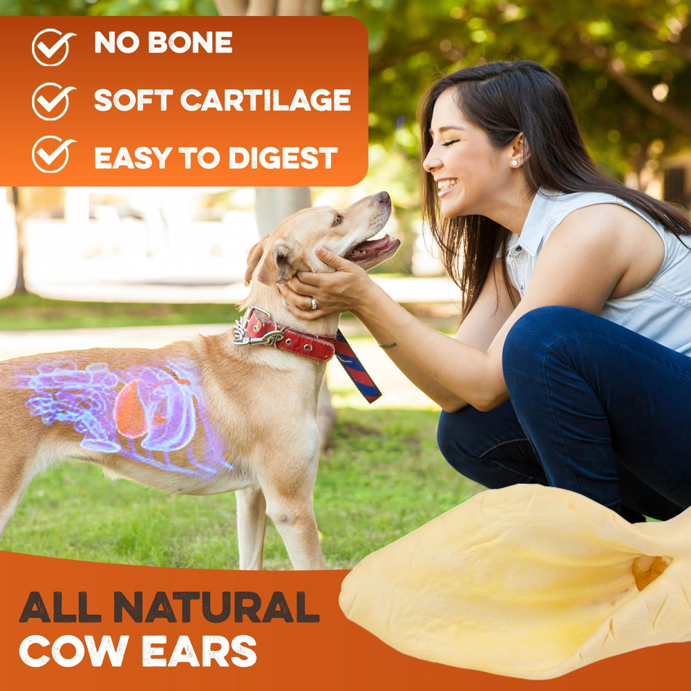 BRUTUS & BARNABY hormone-free, preservative-free cow ears for dogs.