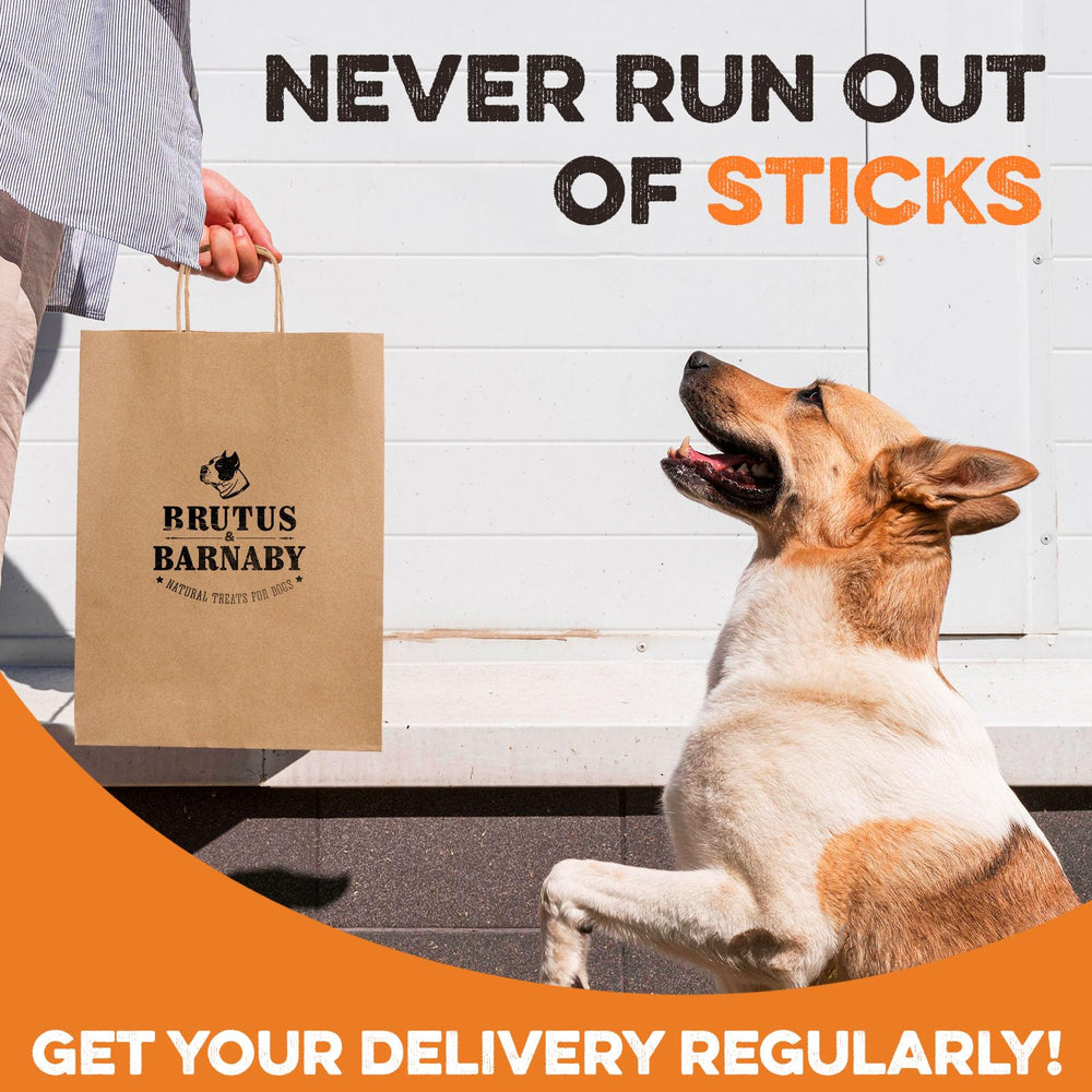 BRUTUS & BARNABY liver and lung close-up showcases limited-ingredient protein snack