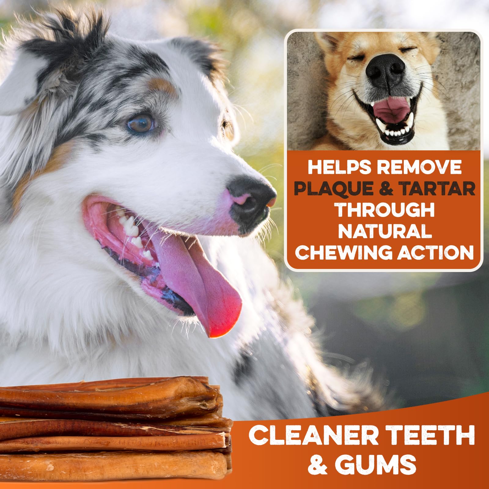 Odor-free processing badge on BRUTUS & BARNABY chews