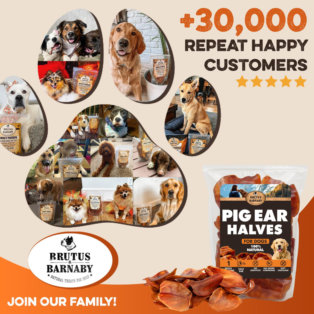 BRUTUS & BARNABY pig ear halves, safe, fully digestible chews for dogs