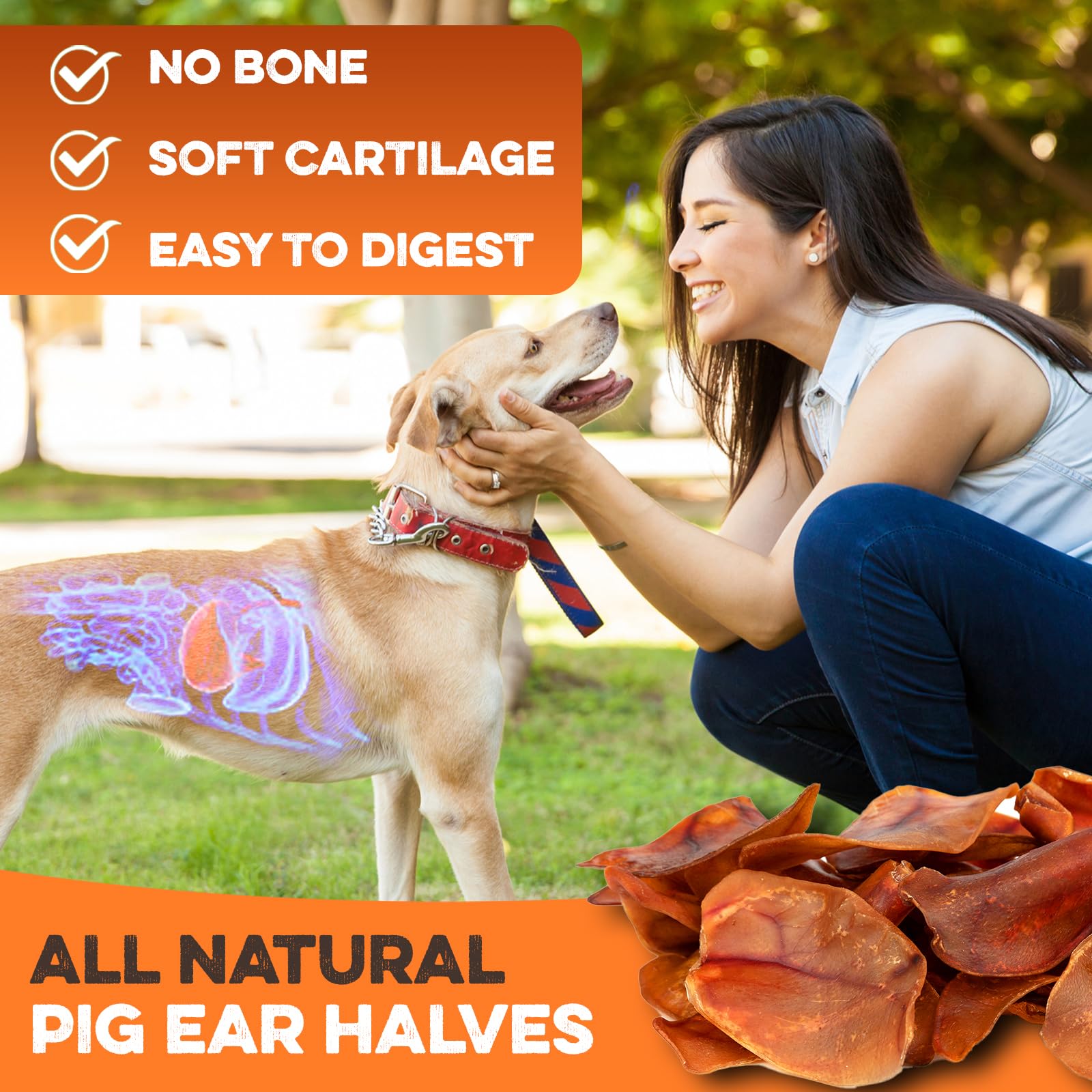 BRUTUS & BARNABY whole pig ears deliver natural crunch and satisfaction.