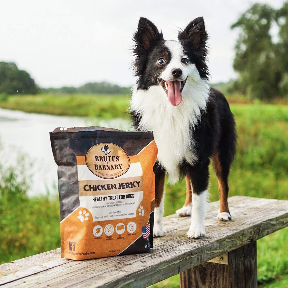BRUTUS AND BARNABY preservative-free jerky with no fillers for natural treats