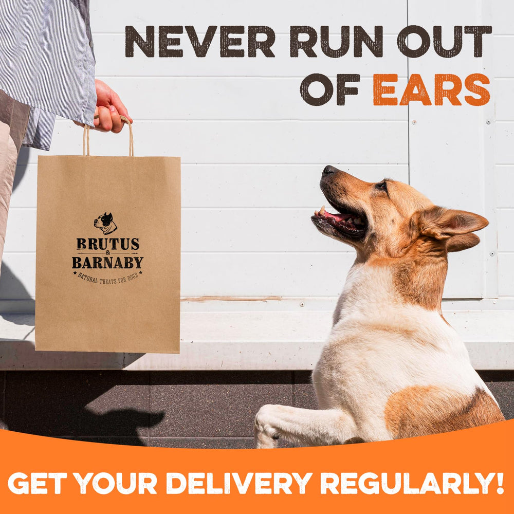 BRUTUS & BARNABY puppy-safe chew showcased for growing dogs.