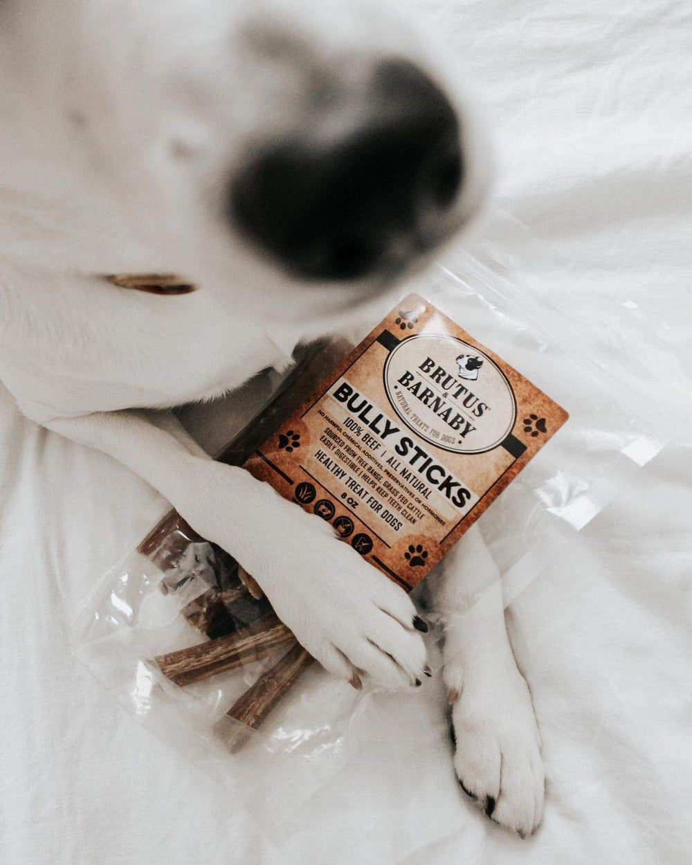 Quality-inspected BRUTUS & BARNABY beef pizzle sourced from cattle.