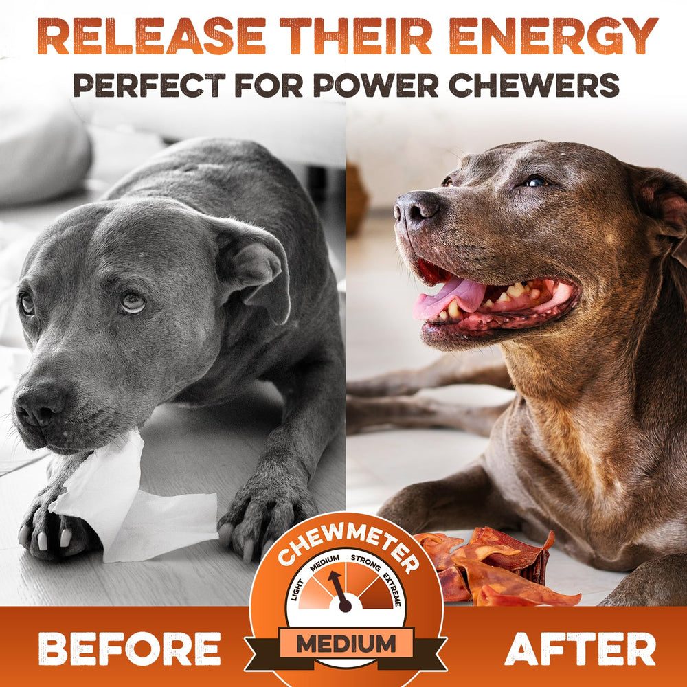 BRUTUS & BARNABY rawhide-alternative chew shown as a safer option for dogs.