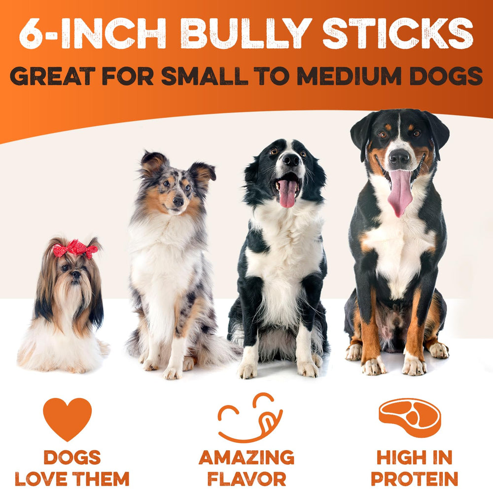 Rawhide-free BRUTUS & BARNABY chew ideal for safe dog chewing.
