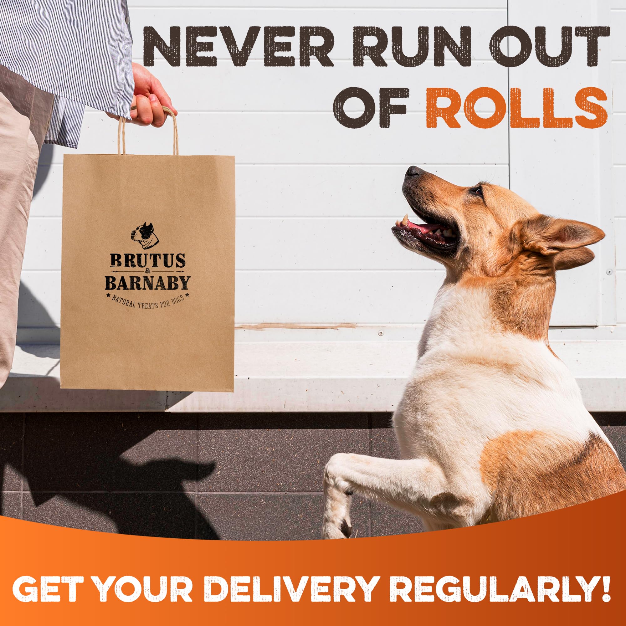 BRUTUS & BARNABY natural additive-free chew.