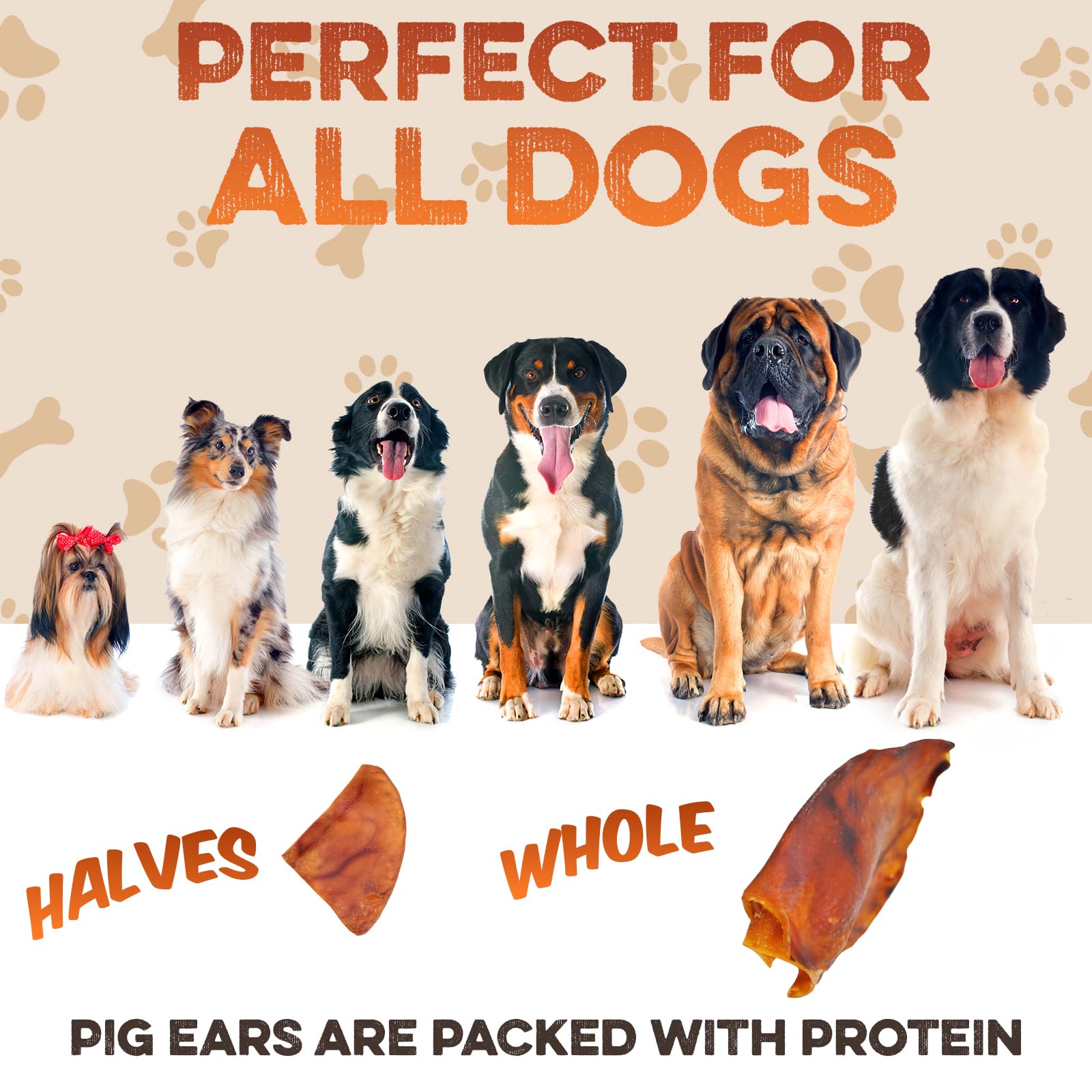 BRUTUS & BARNABY senior-friendly chew pictured for easy-digestion enjoyment.