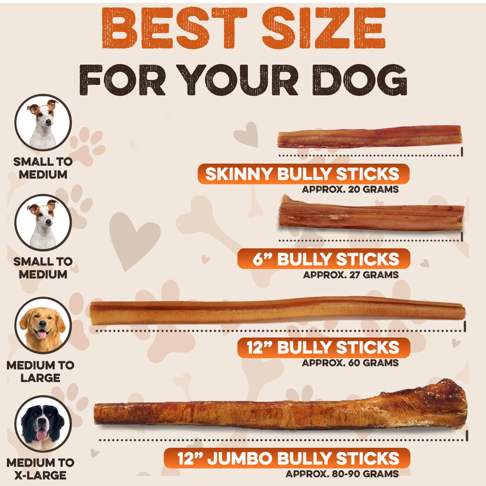 BRUTUS & BARNABY skinny bully stick 6inch close-up shows textured beef pizzle