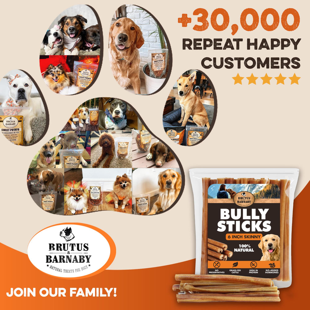 BRUTUS & BARNABY skinny bully stick 6inch fully digestible for safe chews
