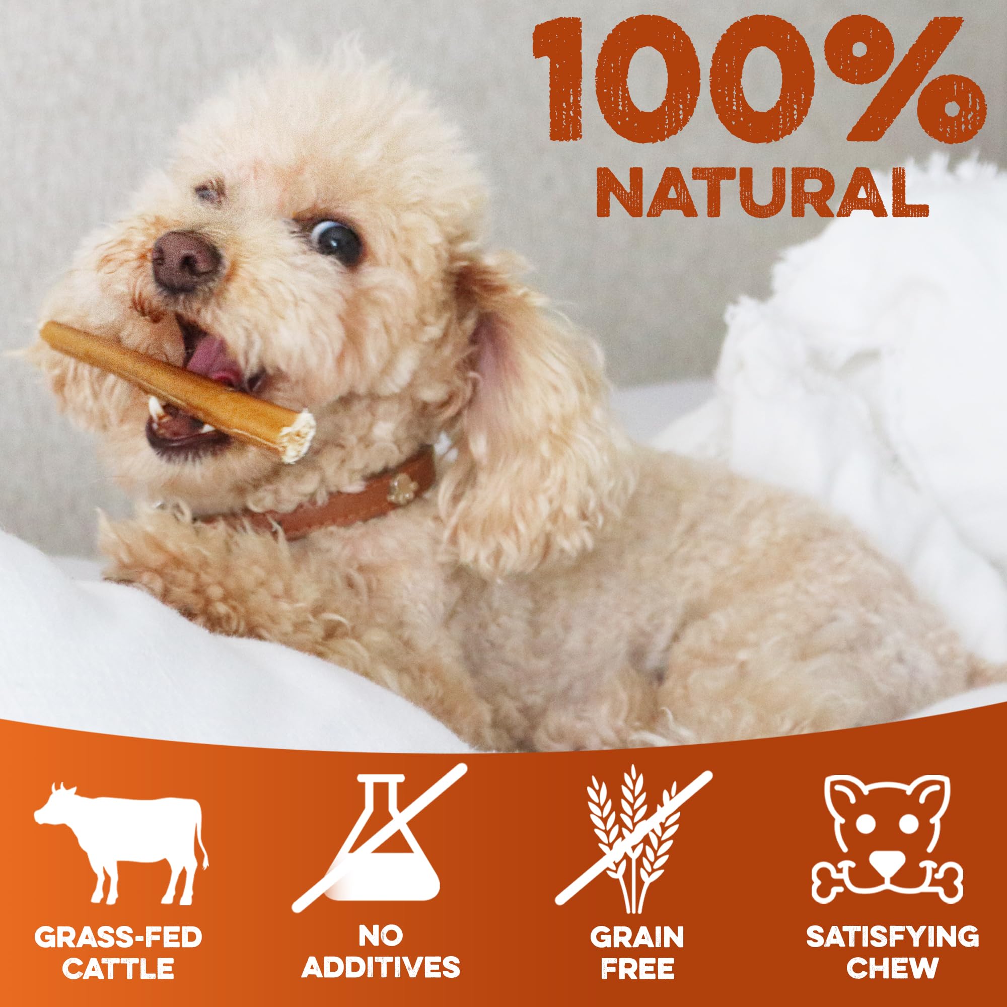 BRUTUS & BARNABY skinny bully stick 6inch odor-free for living room peace