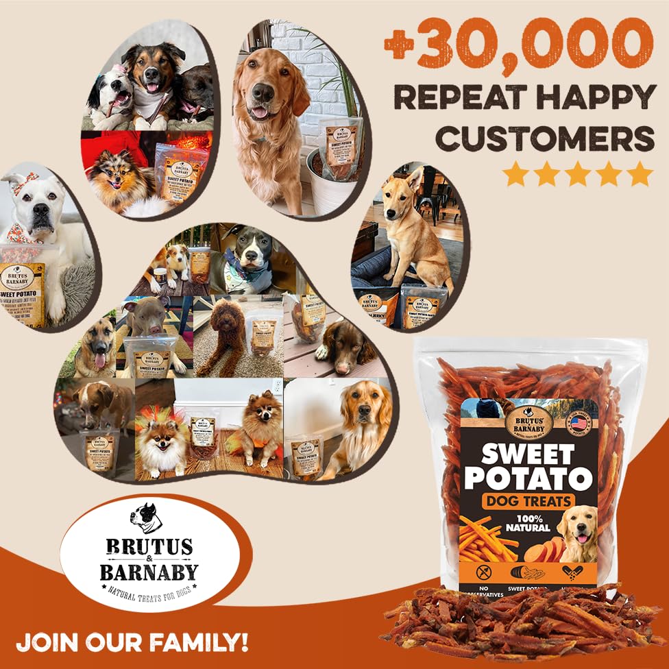 BRUTUS & BARNABY Sweet Potato Fries ready-to-ship snack for busy pet owners