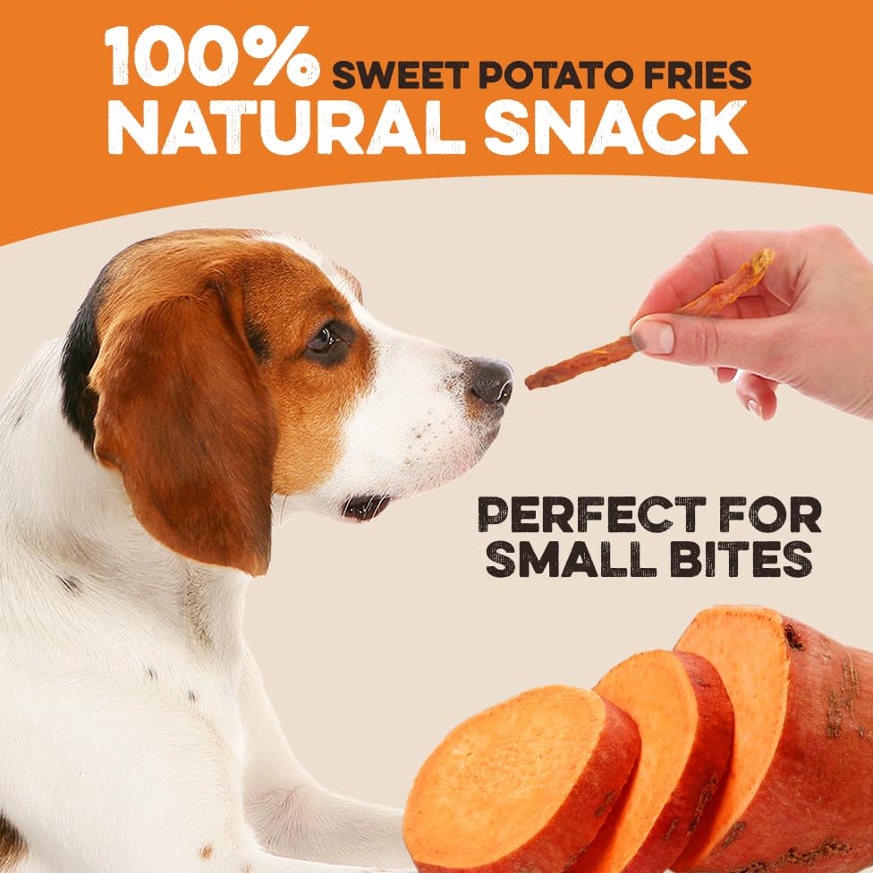 BRUTUS & BARNABY Sweet Potato Fries no preservatives for clean snacking