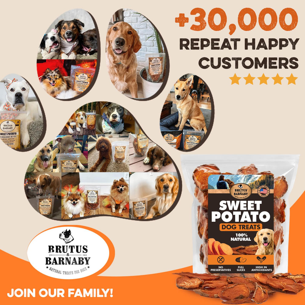 BRUTUS & BARNABY Sweet Potato Treats natural ingredients layout highlights USA produce.