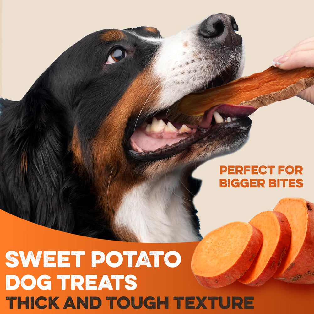 BRUTUS & BARNABY Sweet Potato Treats slices close-up reveal thick, hearty texture.