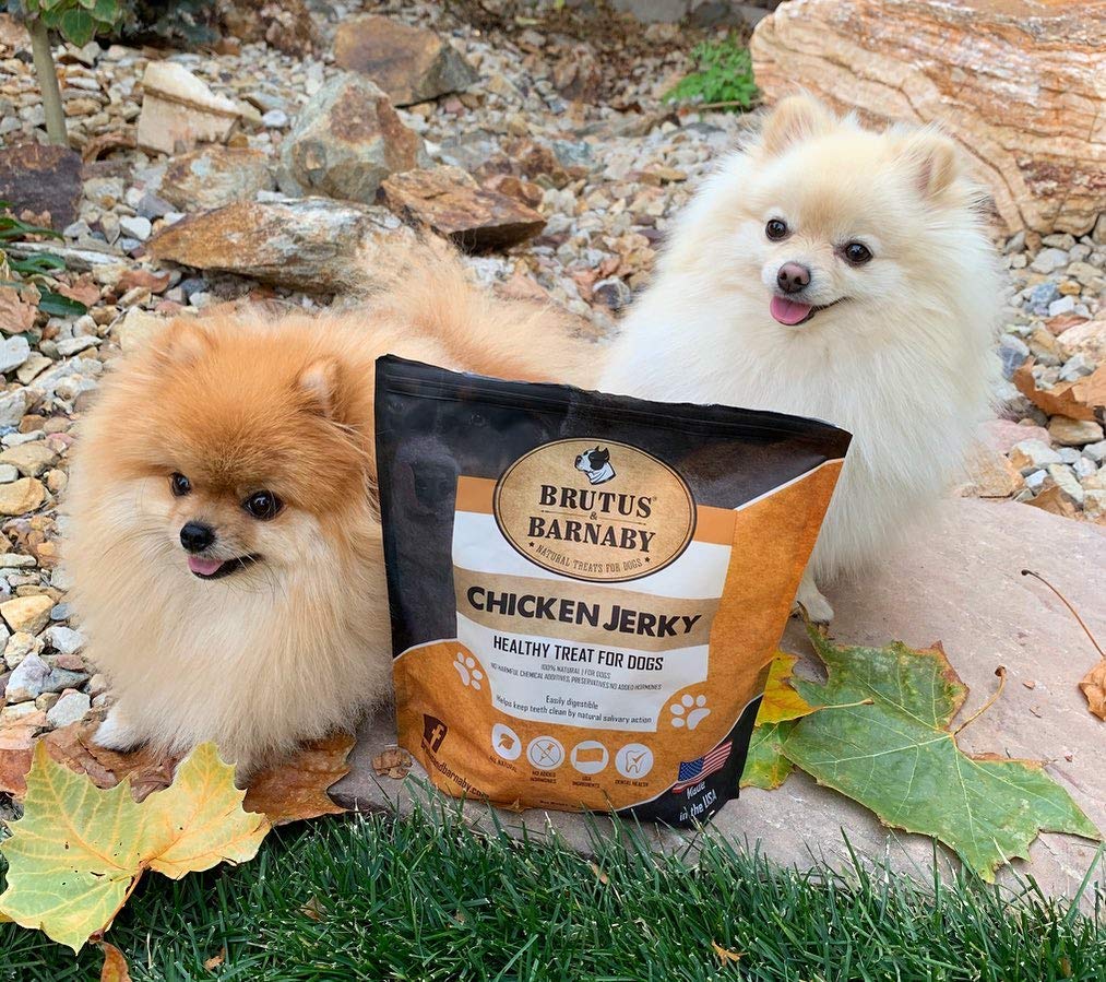 BRUTUS AND BARNABY training treats resembling a raw diet with simple ingredients